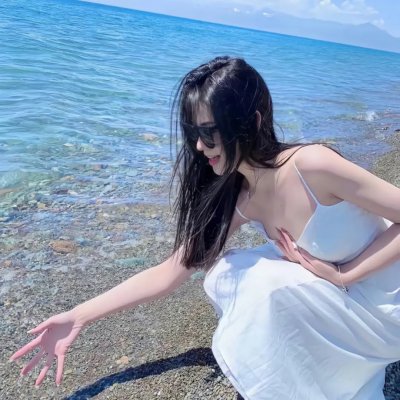 精灵宝可梦：比克提尼与黑之英雄捷克罗姆国语